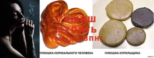 гидра Балахна