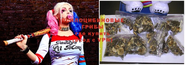 гидра Балахна