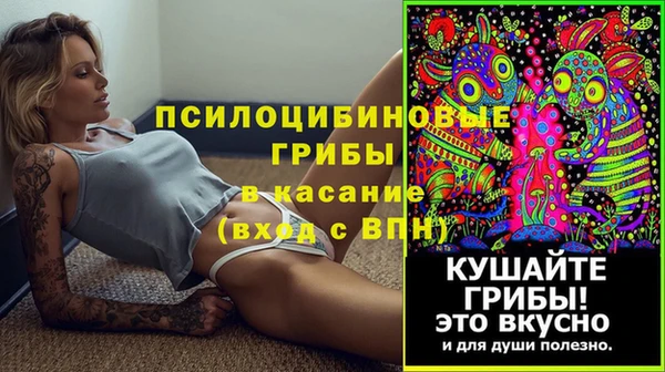 гидра Балахна