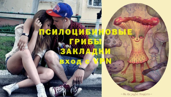 мяу мяу мука Баксан