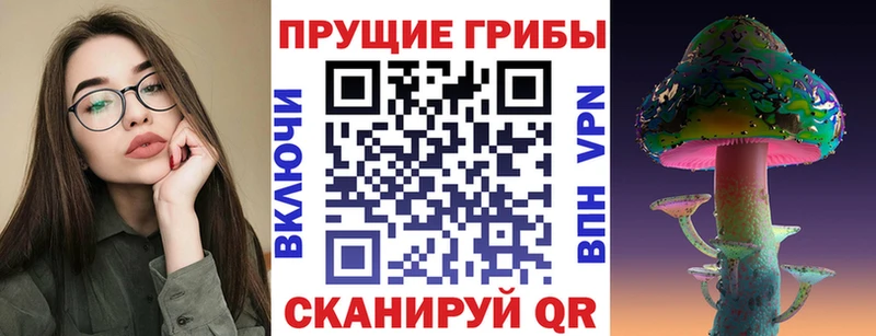 Галлюциногенные грибы мицелий  где найти наркотики  Бахчисарай 